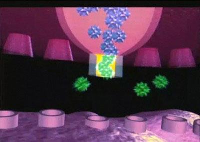 Marijuana: Neurochemistry & Physiology DVD-0