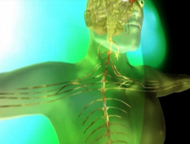 Methamphetamine: Neurochemistry & Recovery DVD-0