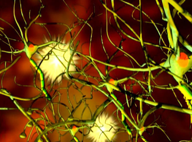 Neurochemistry of Relapse & Recovery DVD-0