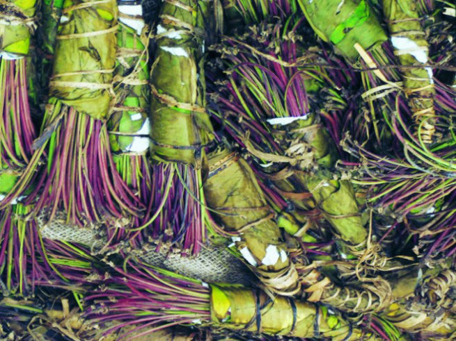 Addiction Education Teaching & Study Aids