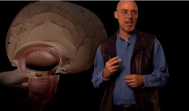 Beyond Opiates DVD -0